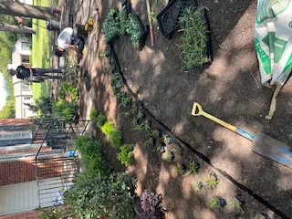 Professional lawn care and landscape maintenance results in DFW