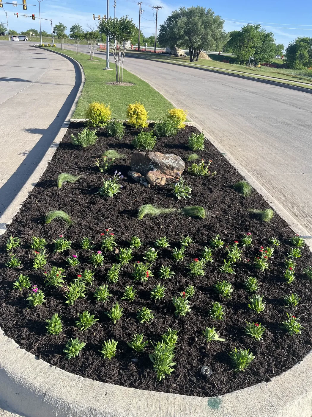 Median Island after landscape renovation in Dallas-Fort Worth