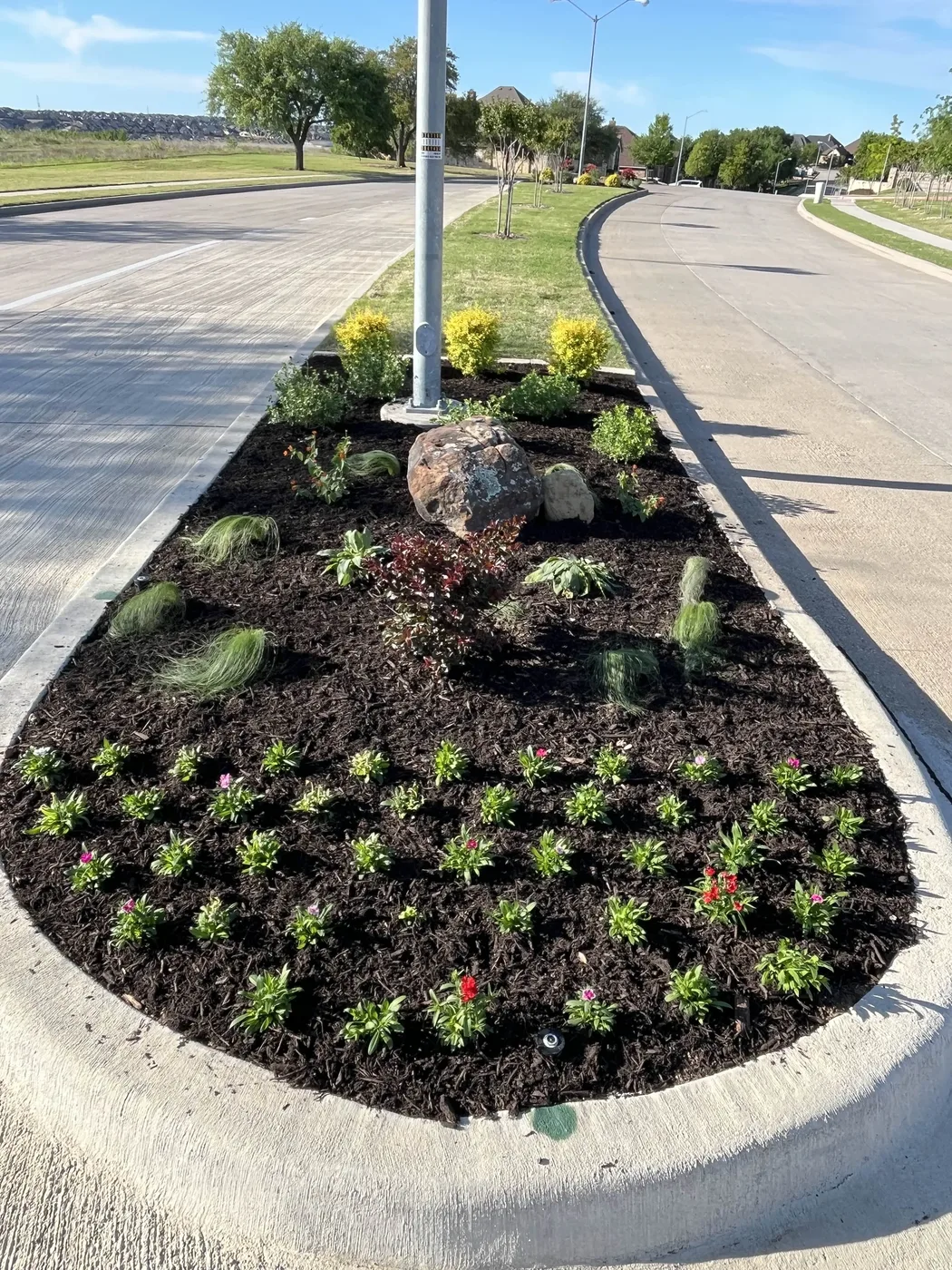 Median Island after landscape renovation in Dallas-Fort Worth