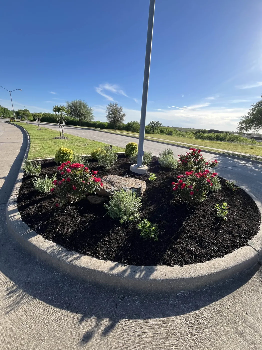 Roundabout Planter after landscape renovation in Dallas-Fort Worth